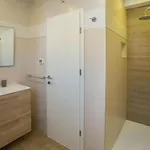Two Bedroom Milohanic Iii *